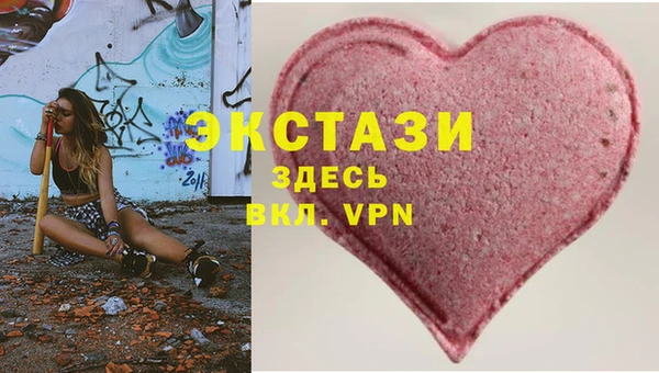 стаф Вязьма